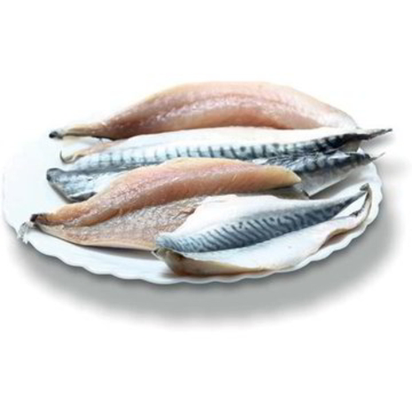 FILETTO DI SGOMBRO